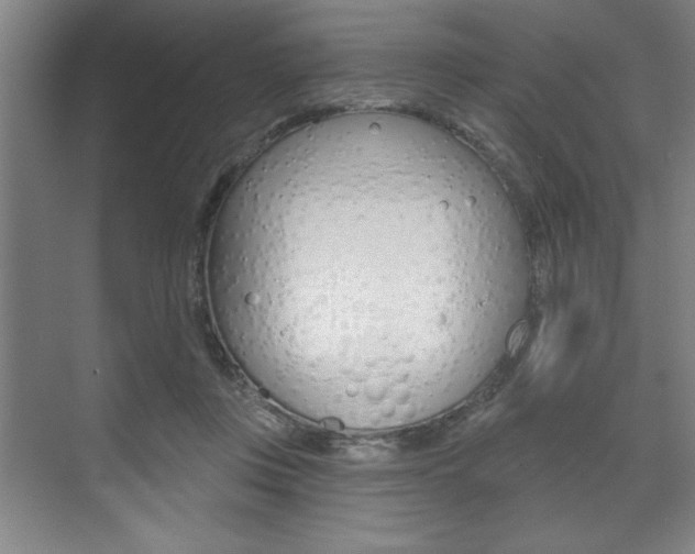 X0000073480359200607310857