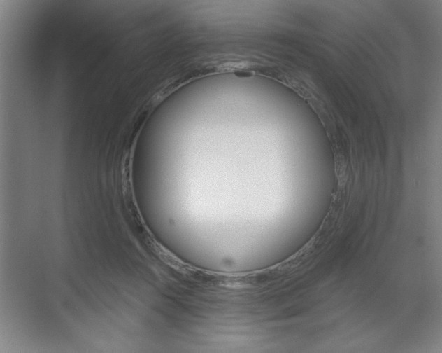 X0000073480360200607310857