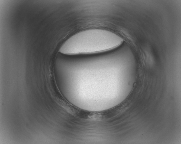 X0000073480362200607310857