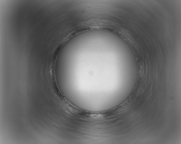 X0000073480363200607310857