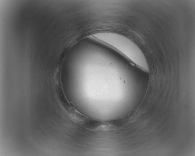 X0000073480364200607310857