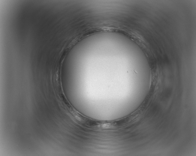 X0000073480365200607310857