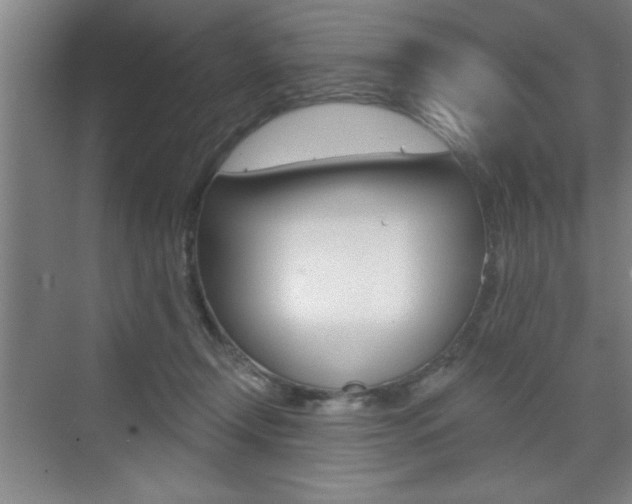 X0000073480366200607310857