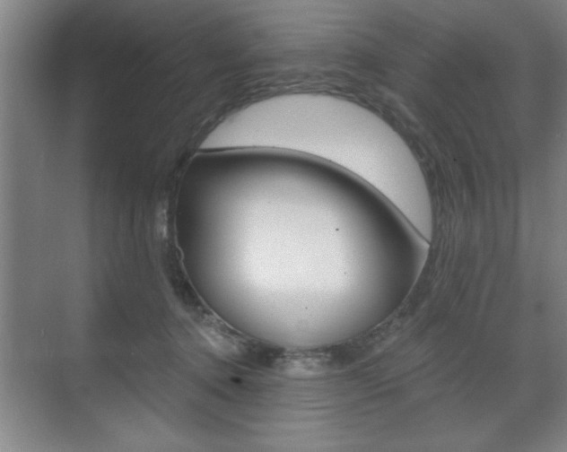 X0000073480368200607310857