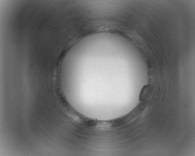 X0000073480369200607310857