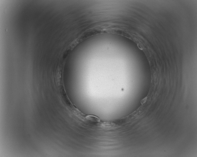 X0000073480372200607310857