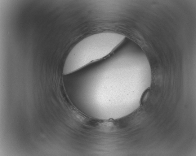 X0000073480374200607310857