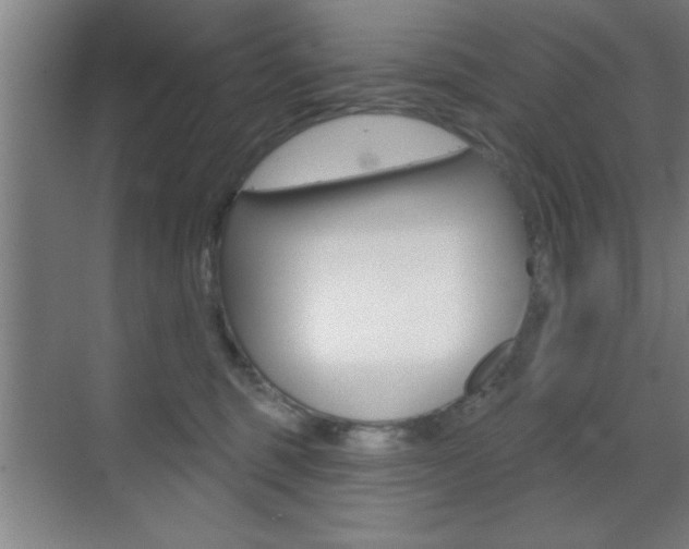 X0000073480375200607310857