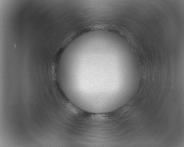 X0000073480378200607310857