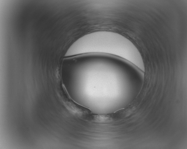 X0000073480380200607310857