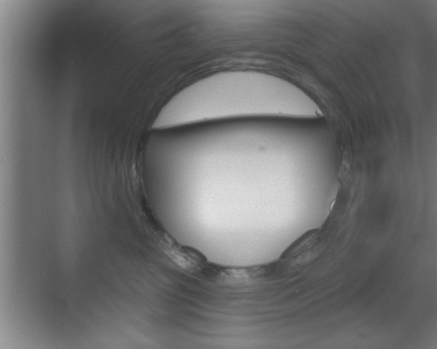 X0000073480381200607310857