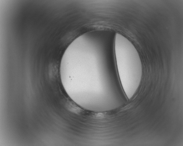 X0000073480382200607310857