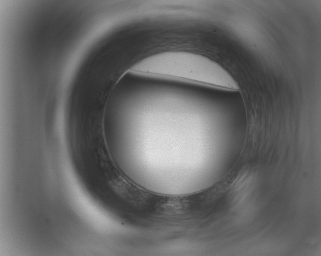 X0000073480383200607310857