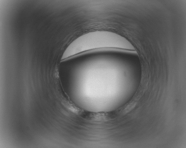 X0000073480384200607310857