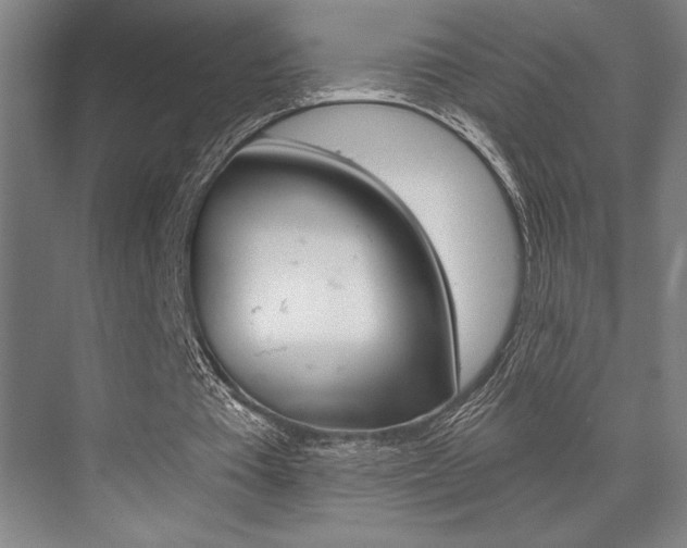 X0000073480385200607310856