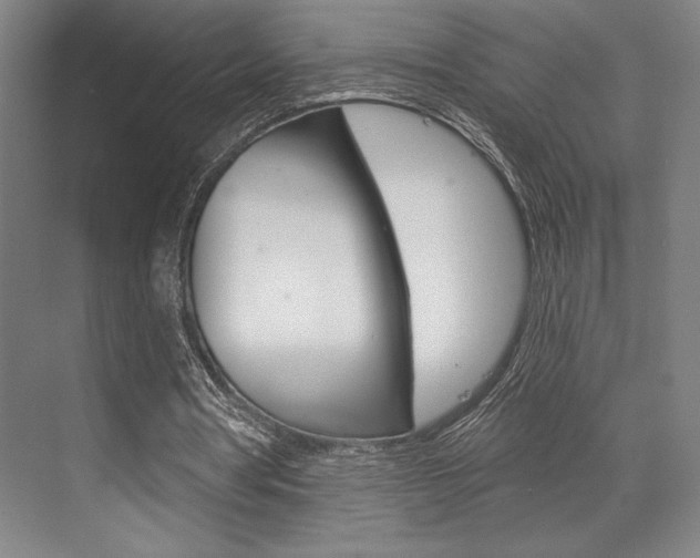 X0000073480386200607310856