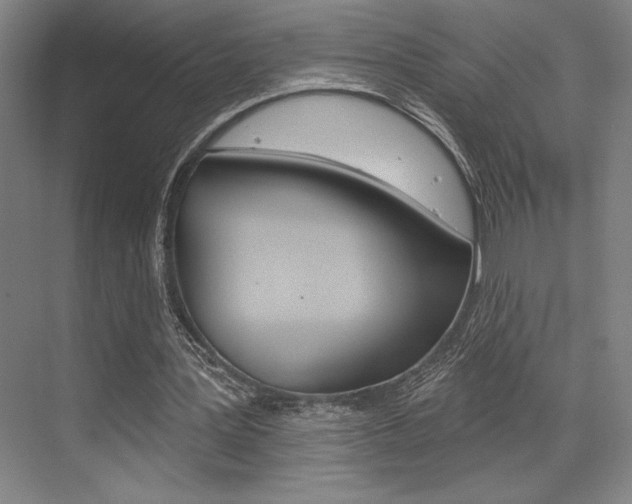 X0000073480387200607310856