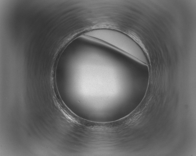 X0000073480389200607310856