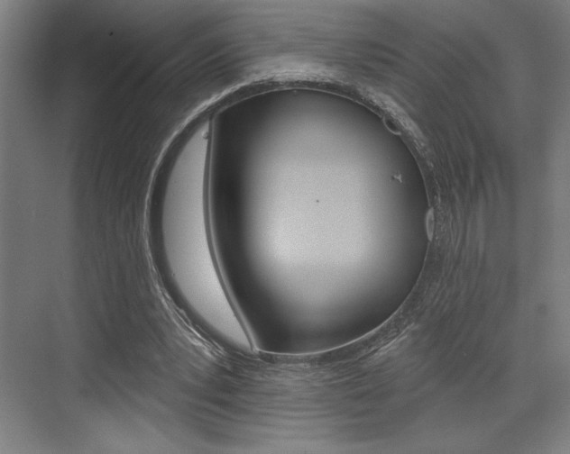 X0000073480391200607310856