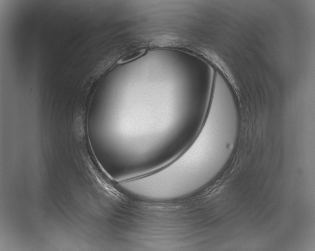 X0000073480393200607310856