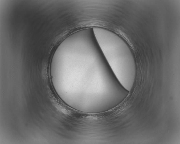 X0000073480394200607310856