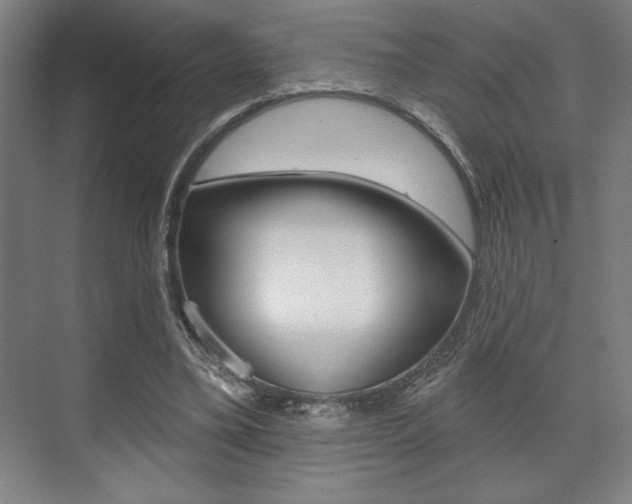 X0000073480395200607310856