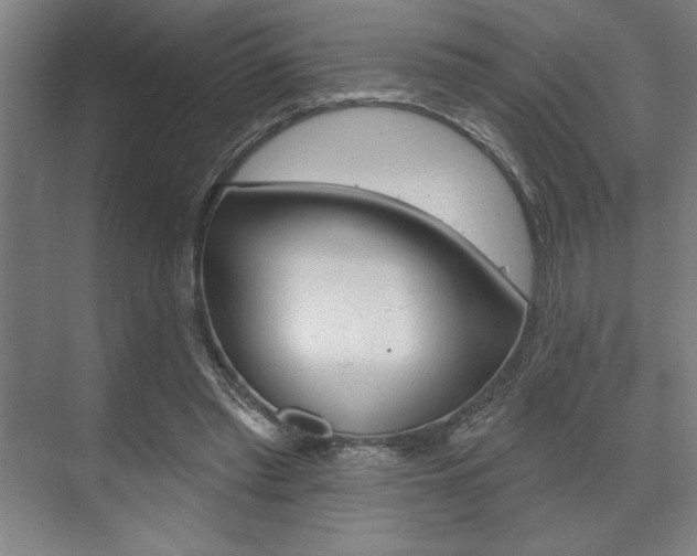 X0000073480397200607310856