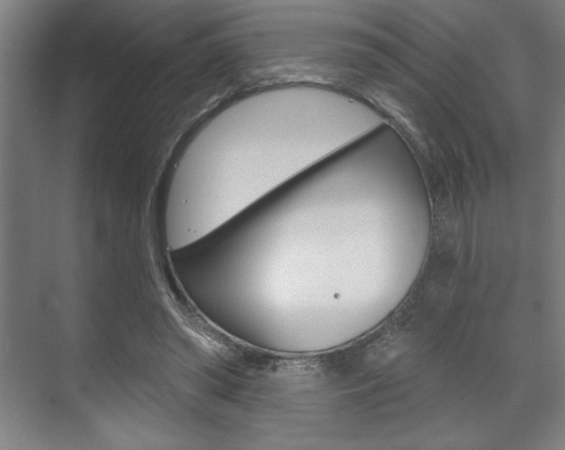 X0000073480398200607310856