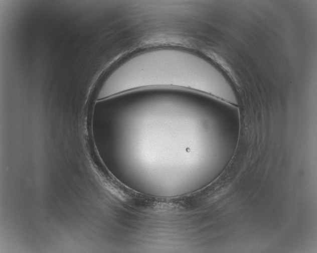 X0000073480399200607310856