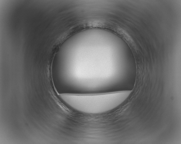 X0000073480401200607310856