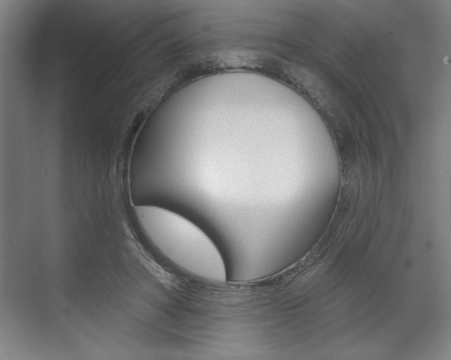 X0000073480402200607310856