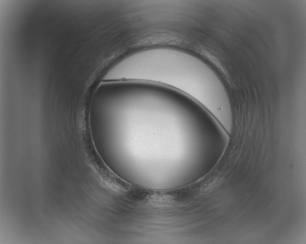 X0000073480403200607310856