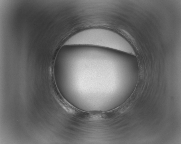 X0000073480405200607310856