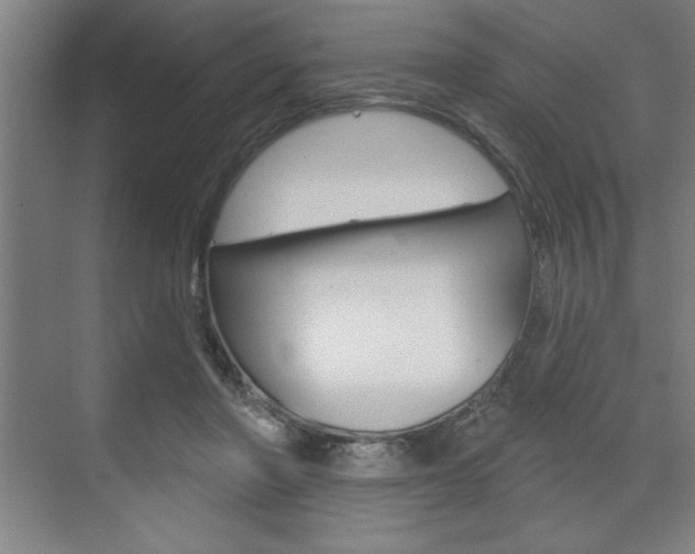 X0000073480406200607310856