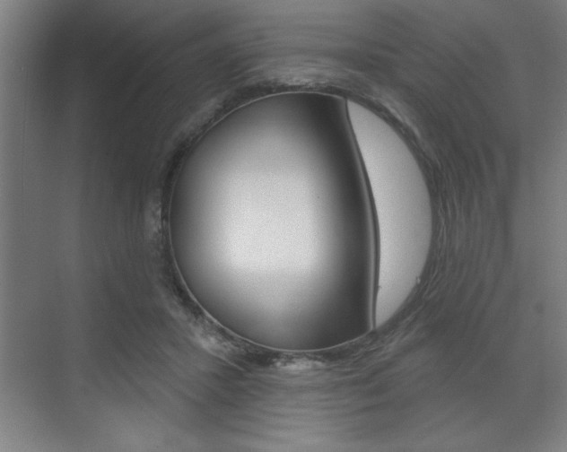 X0000073480407200607310856