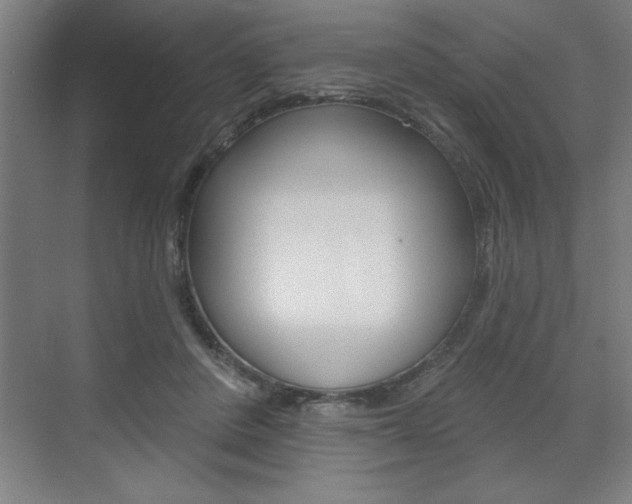 X0000073480408200607310856