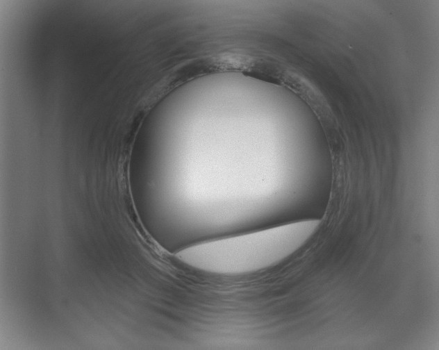 X0000073480409200607310856