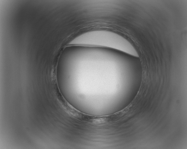 X0000073480411200607310856