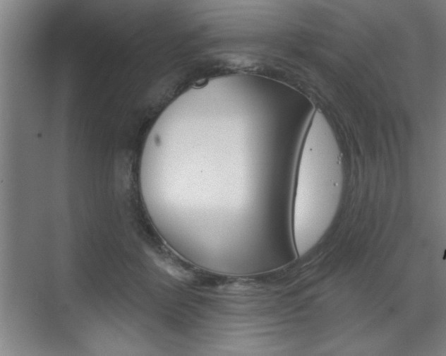 X0000073480412200607310856