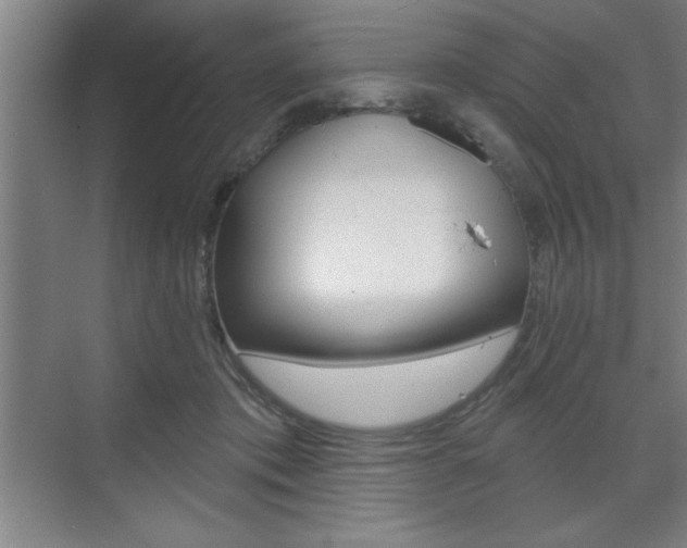 X0000073480413200607310856