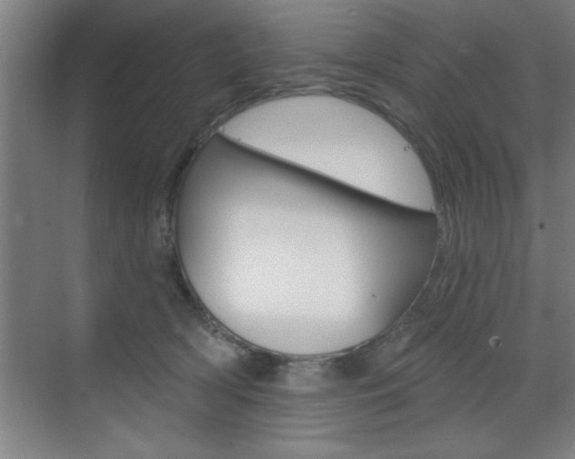 X0000073480418200607310856