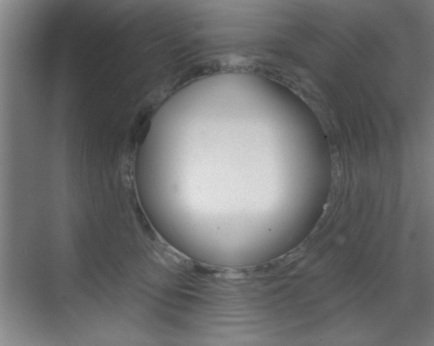 X0000073480419200607310856