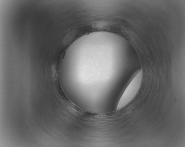 X0000073480420200607310856