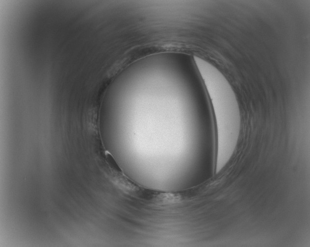 X0000073480421200607310856