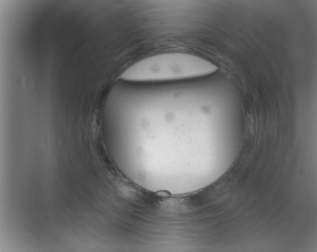 X0000073480422200607310856