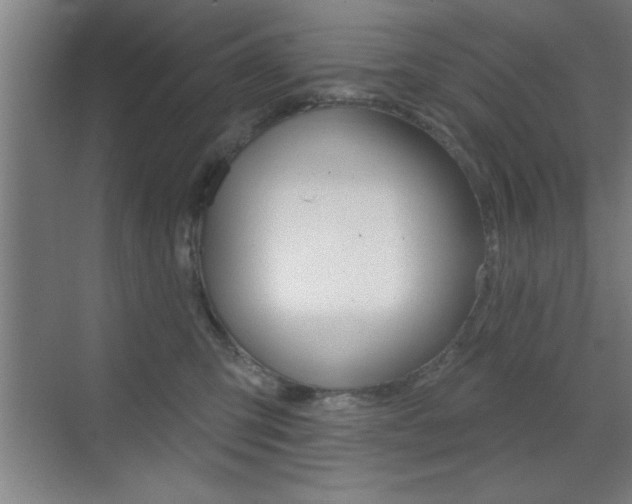 X0000073480423200607310856