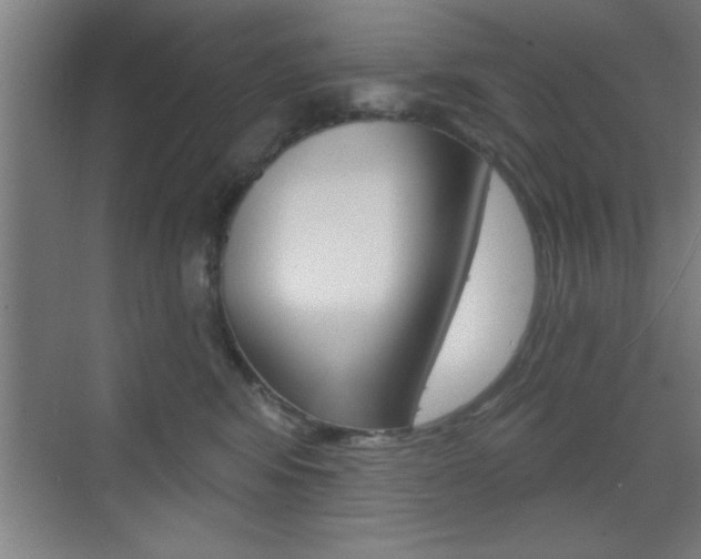 X0000073480424200607310856