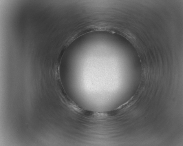 X0000073480429200607310856