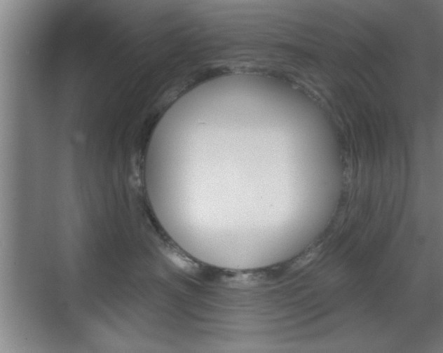 X0000073480430200607310856