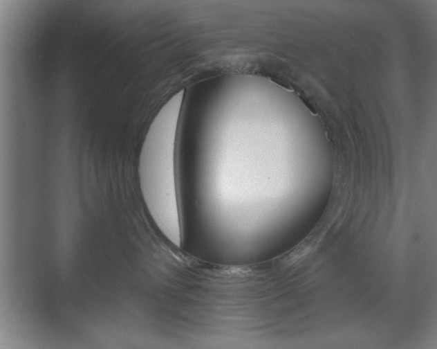 X0000073480432200607310856